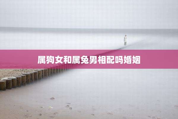 属狗女和属兔男相配吗婚姻