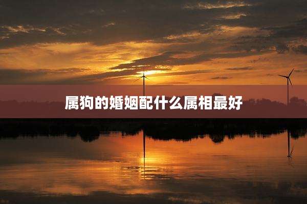 属狗的婚姻配什么属相最好