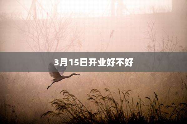 3月15日开业好不好