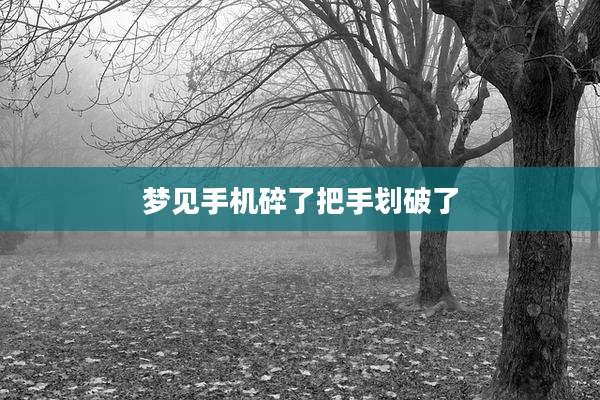 梦见手机碎了把手划破了