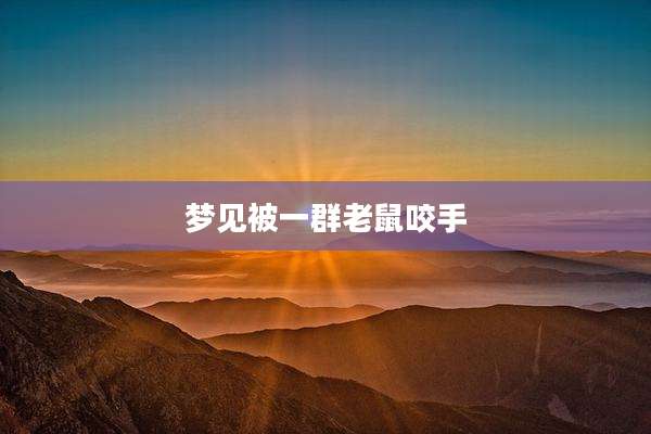梦见被一群老鼠咬手