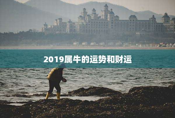 2019属牛的运势和财运