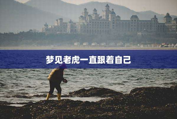 梦见老虎一直跟着自己