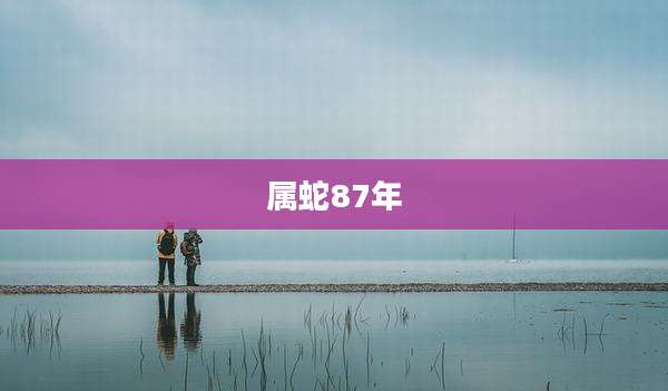 属蛇87年
