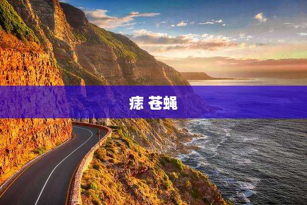 痣 苍蝇