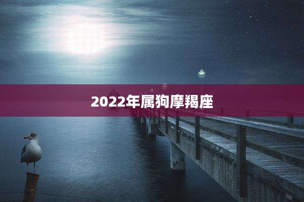 2022年属狗摩羯座