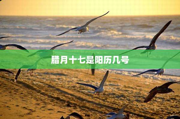 腊月十七是阳历几号