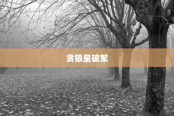 贪狼星破军