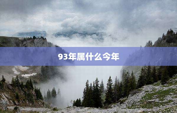 93年属什么今年
