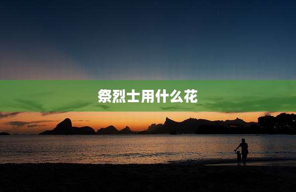 祭烈士用什么花