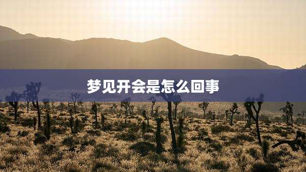 梦见开会是怎么回事