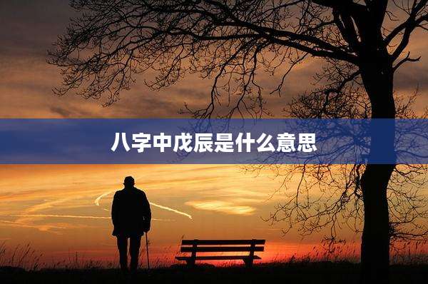 八字中戊辰是什么意思