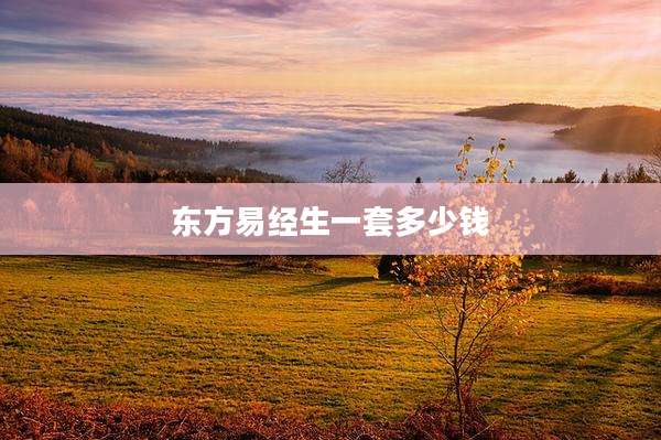东方易经生一套多少钱