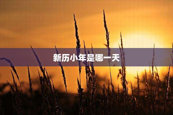 新历小年是哪一天