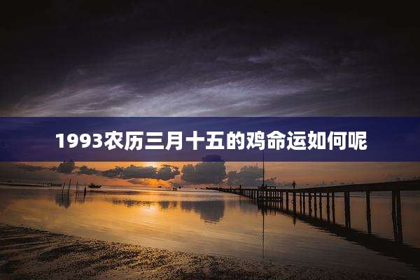 1993农历三月十五的鸡命运如何呢