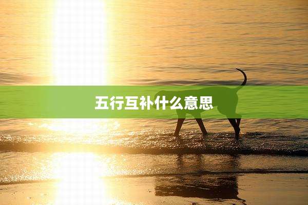 五行互补什么意思