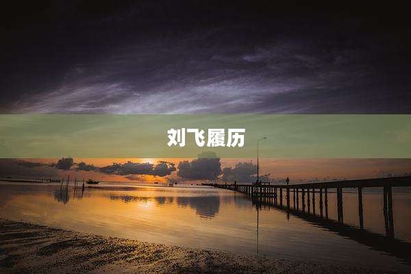 刘飞履历