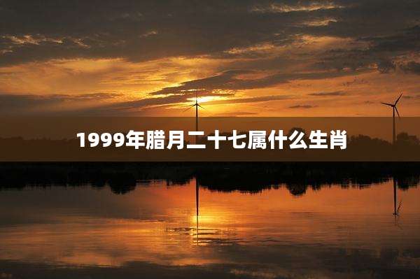 1999年腊月二十七属什么生肖