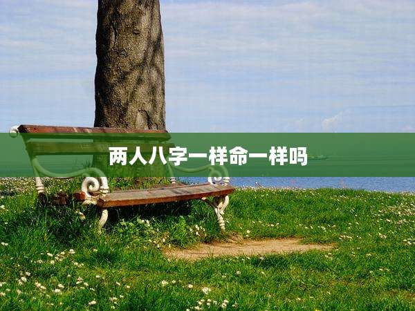 两人八字一样命一样吗