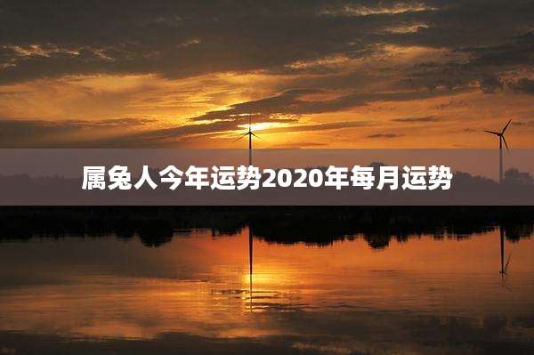 属兔人今年运势2020年每月运势