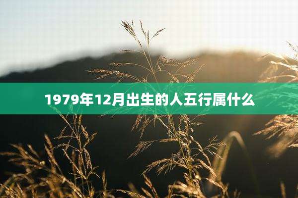 1979年12月出生的人五行属什么
