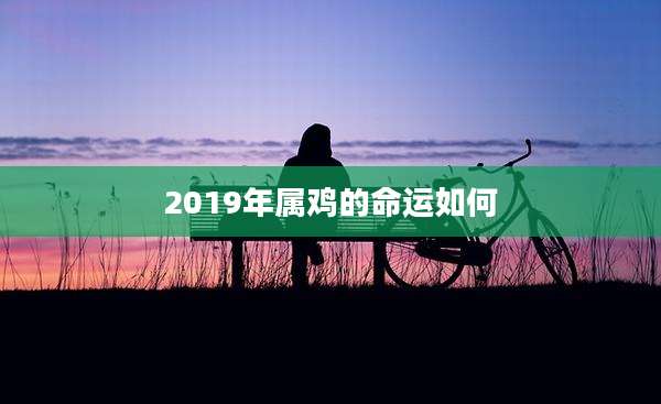 2019年属鸡的命运如何