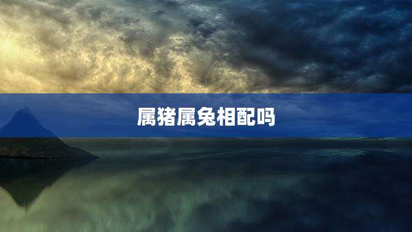 属猪属兔相配吗