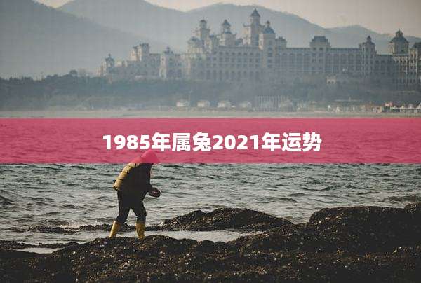 1985年属兔2021年运势
