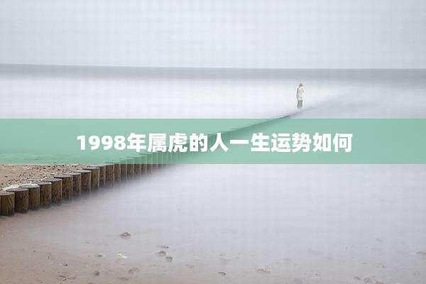 1998年属虎的人一生运势如何