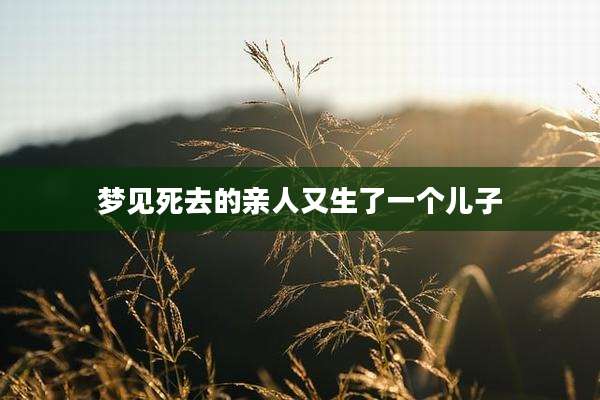 梦见死去的亲人又生了一个儿子