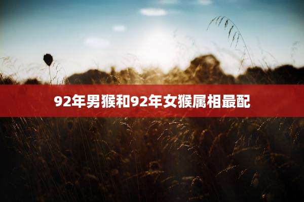 92年男猴和92年女猴属相最配