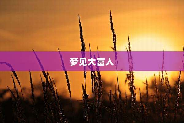 梦见大富人