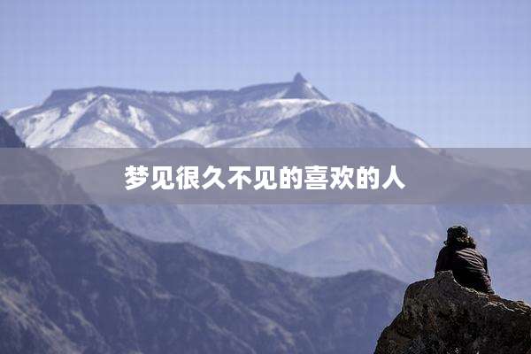 梦见很久不见的喜欢的人