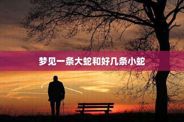 梦见一条大蛇和好几条小蛇