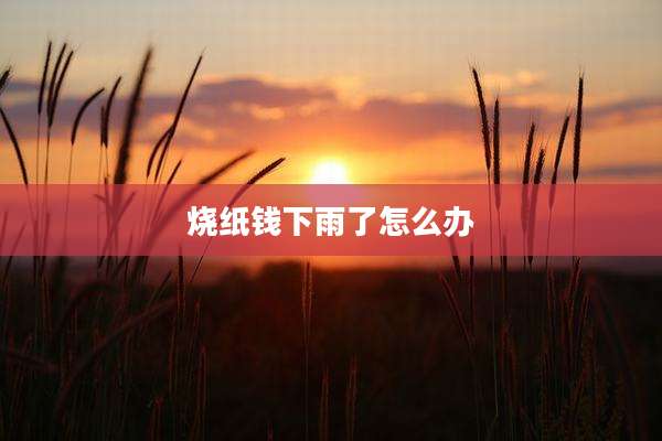 烧纸钱下雨了怎么办