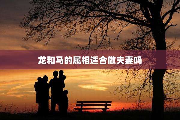 龙和马的属相适合做夫妻吗