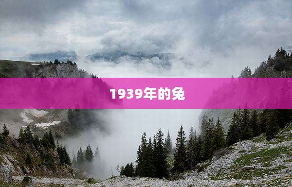 1939年的兔