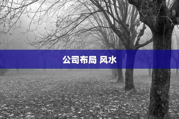 公司布局 风水