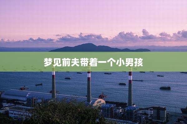 梦见前夫带着一个小男孩