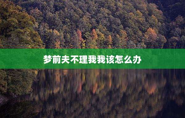 梦前夫不理我我该怎么办