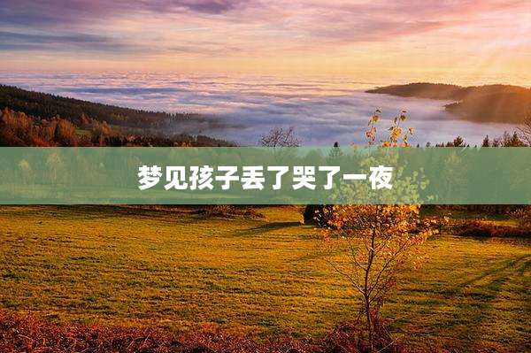 梦见孩子丢了哭了一夜