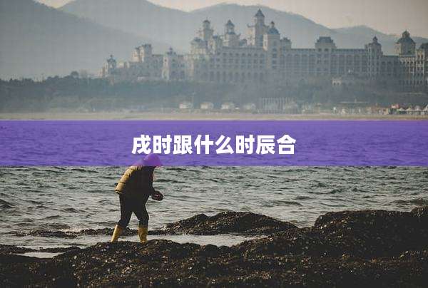 戌时跟什么时辰合
