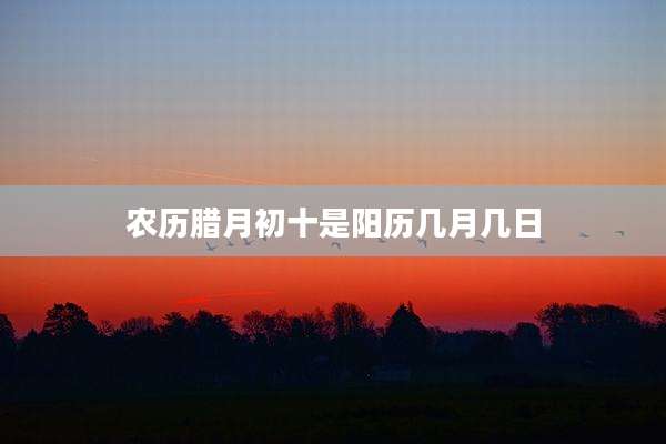 农历腊月初十是阳历几月几日