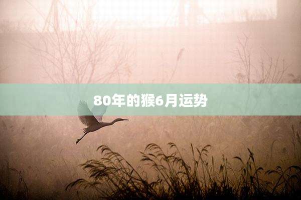 80年的猴6月运势