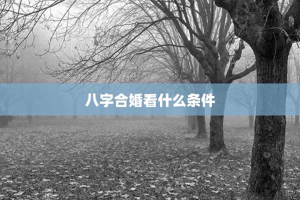 八字合婚看什么条件