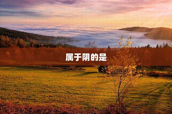 属于阴的是