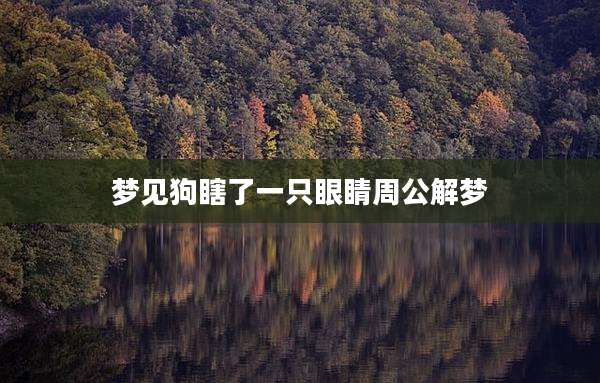 梦见狗瞎了一只眼睛周公解梦