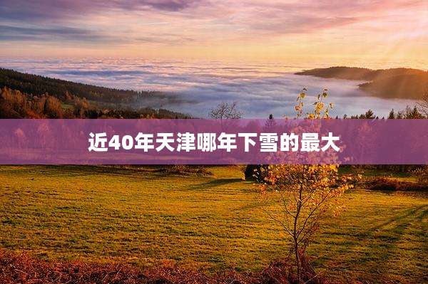 近40年天津哪年下雪的最大