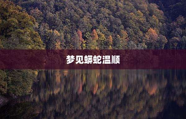 梦见蟒蛇温顺