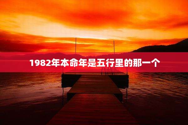 1982年本命年是五行里的那一个